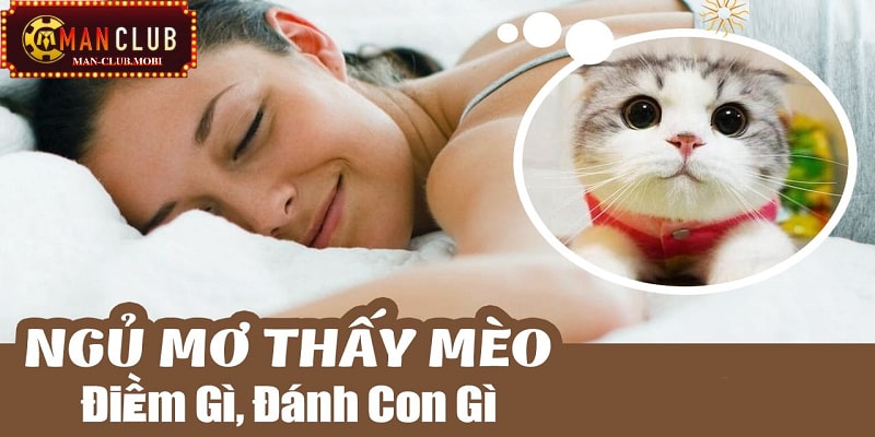 Mơ thấy mèo Bật mí những con số may mắn khi mơ thấy mèo